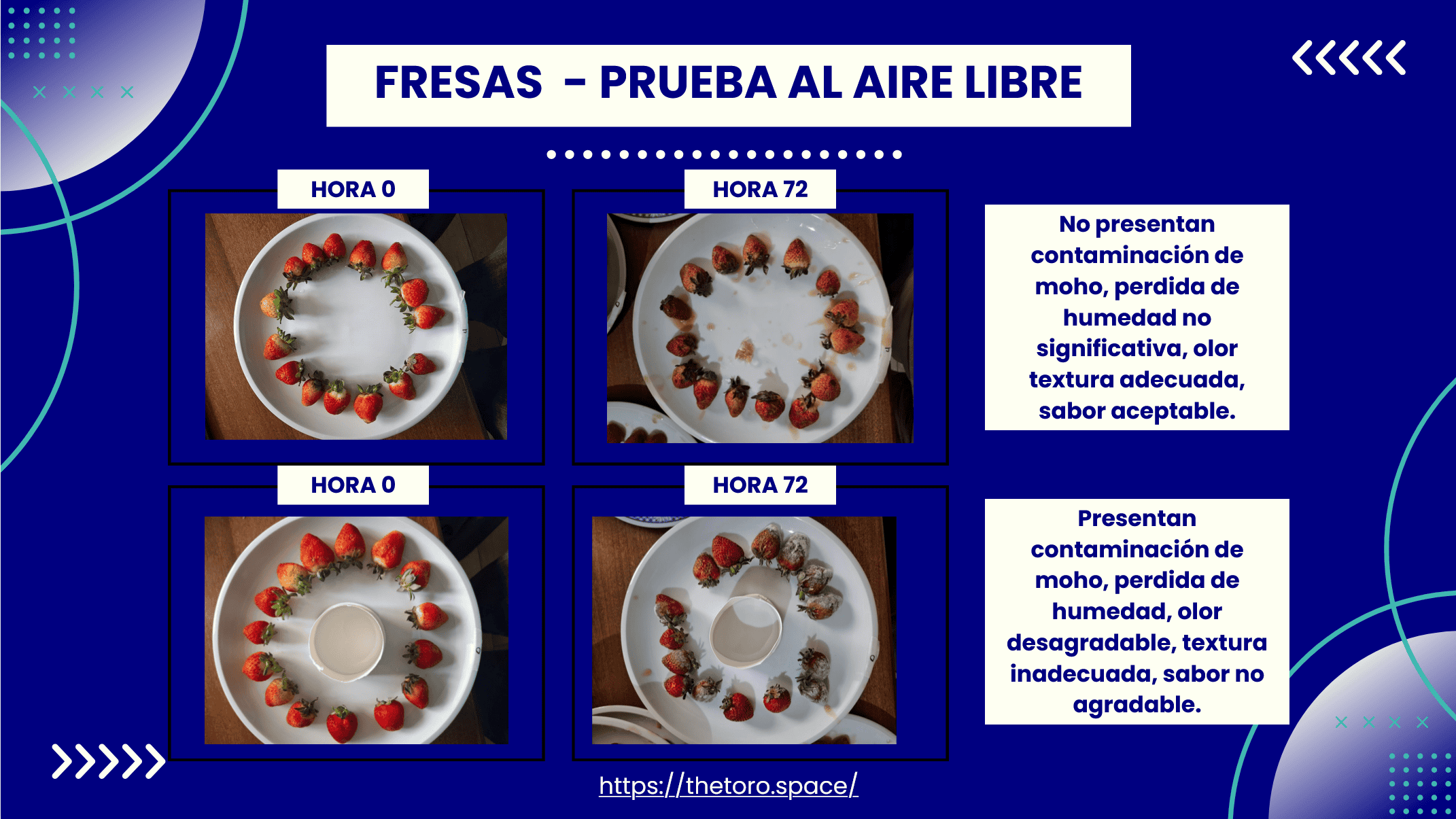 Conjunto de fresas en una prueba sin refrigeración a 25°C